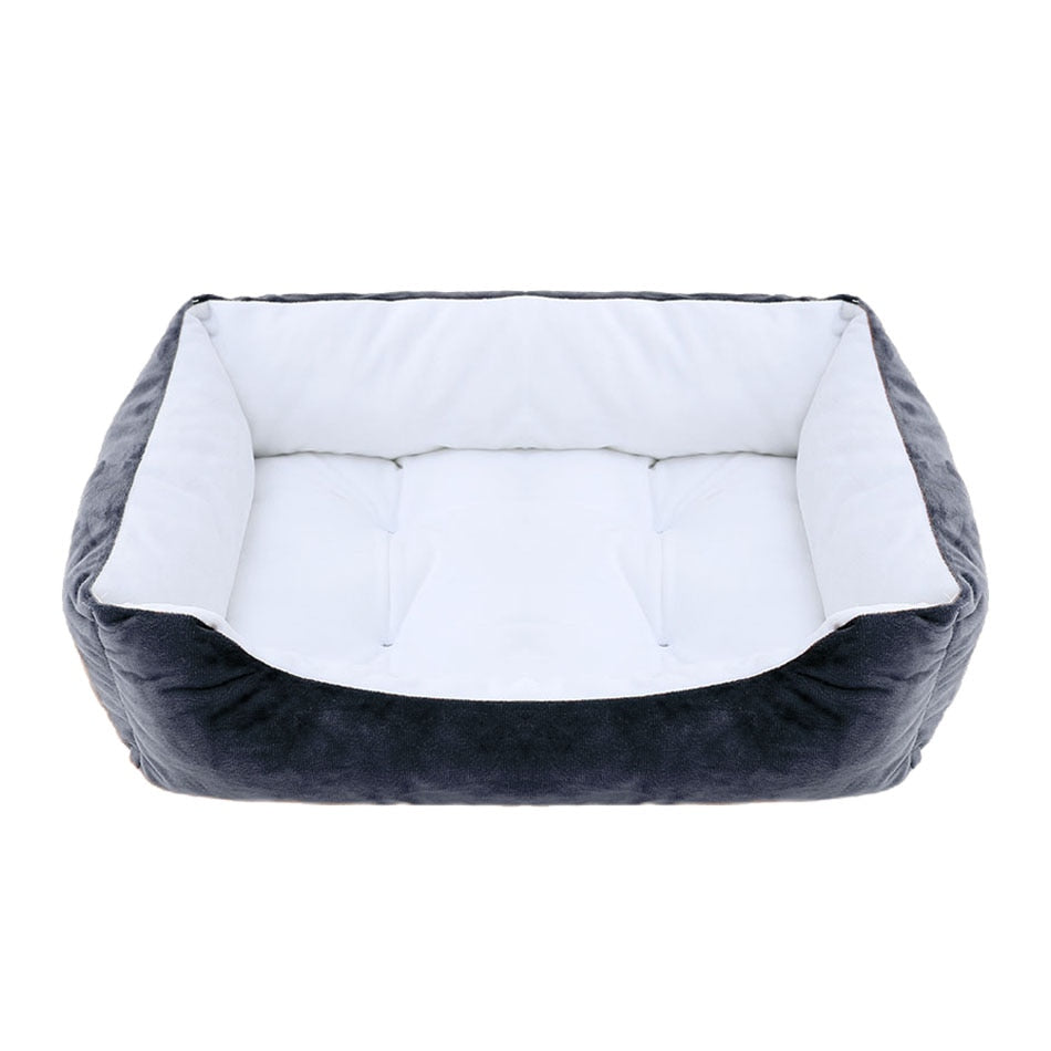 Basket - Design, style and comfort and style for your companion