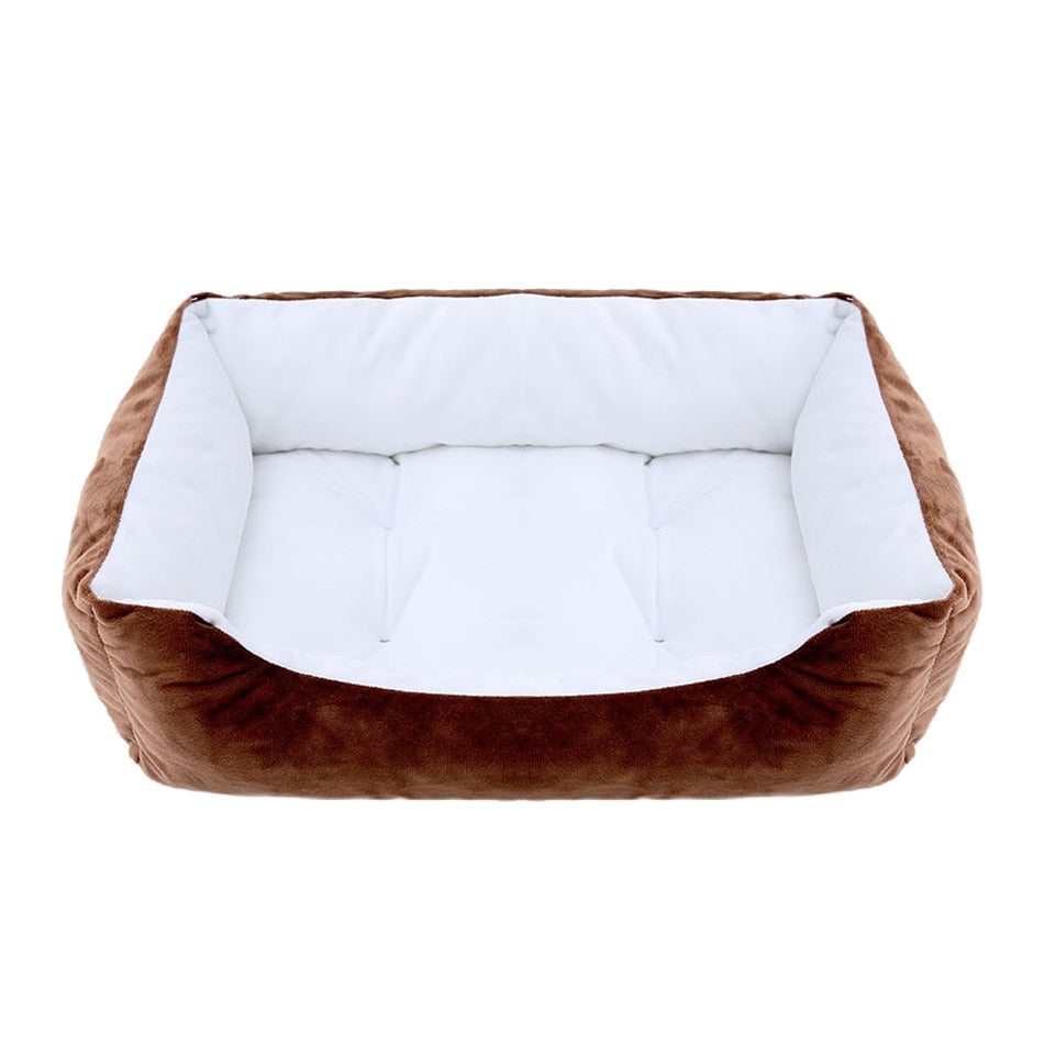 Basket - Design, style and comfort and style for your companion