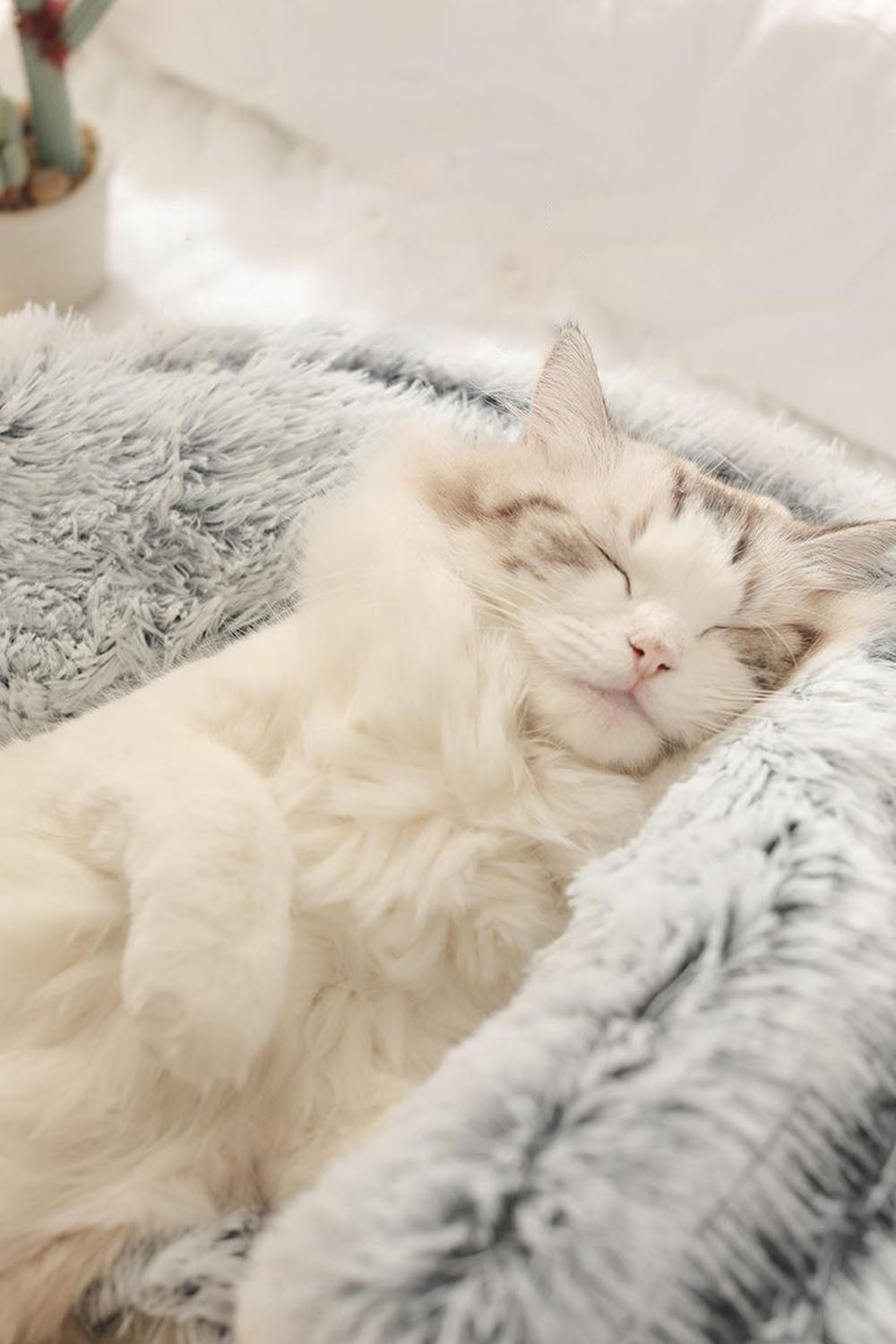 Cushion - A comfortable cloud