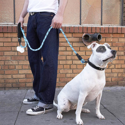 Leash - Reflective and durable