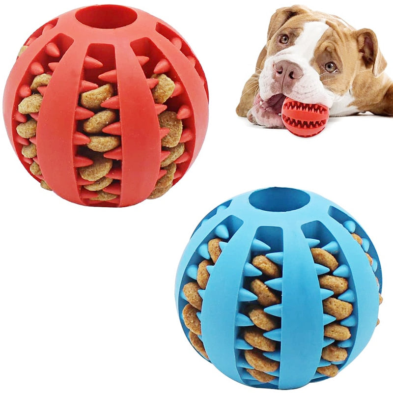 Interactive chew ball