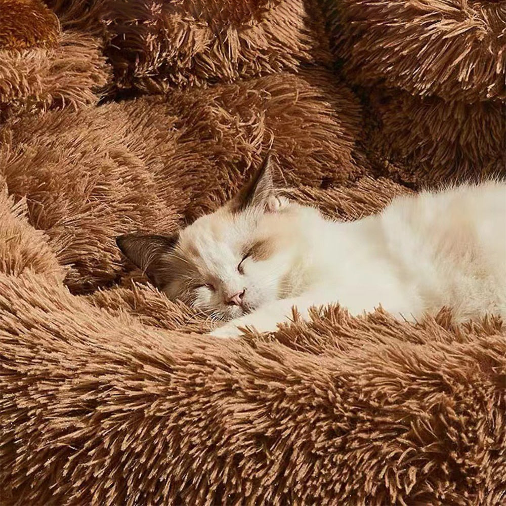 Basket - A fun resting place in the shape of a bear paw