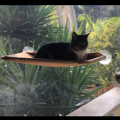 High hammock for cats