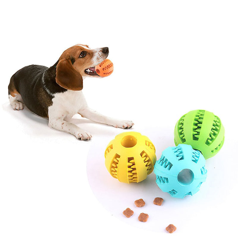 Interactive chew ball