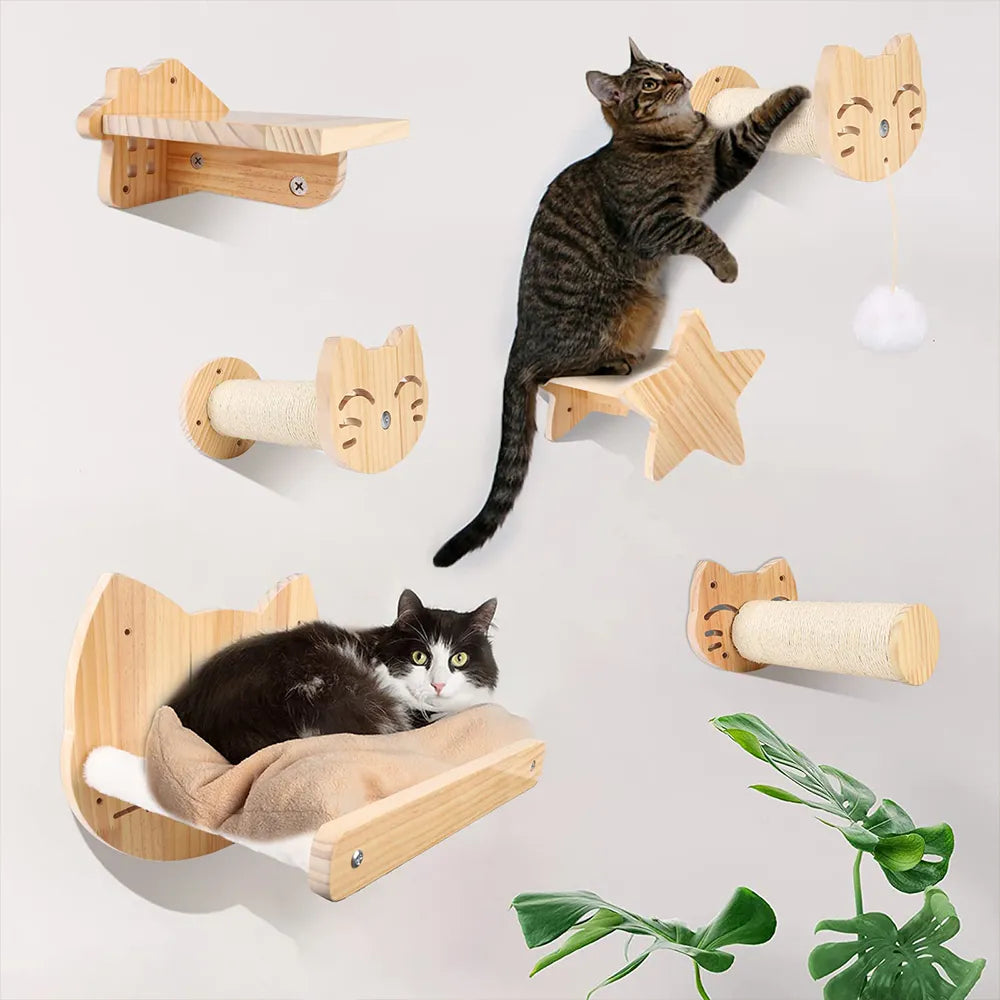 Ensemble d'escalade pour chats