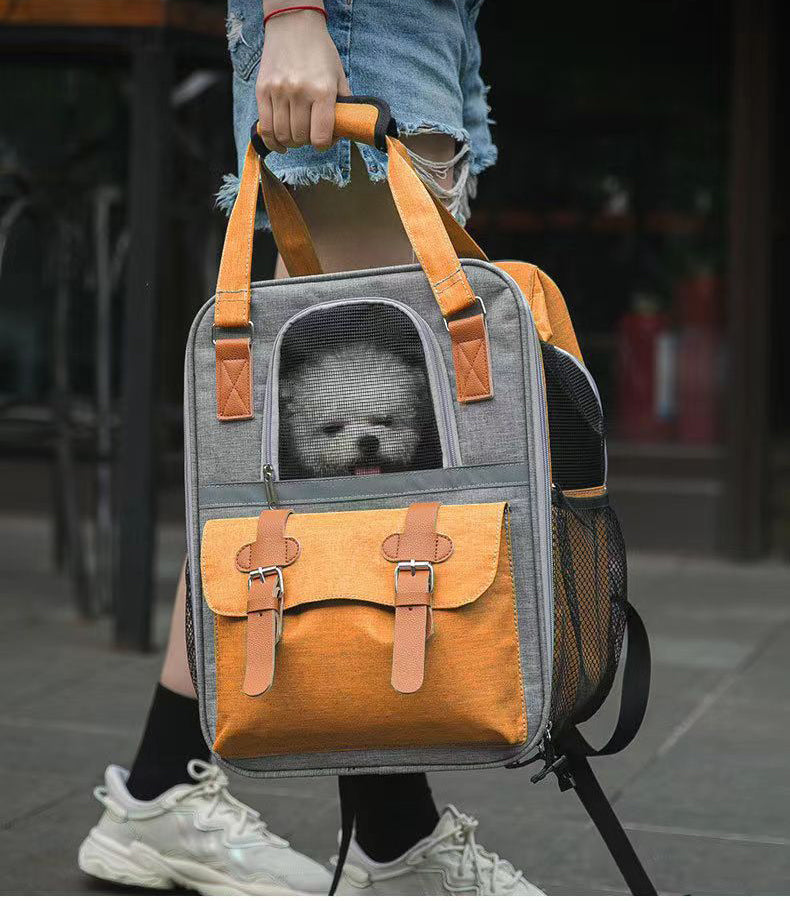 Backpack - Carry your companion