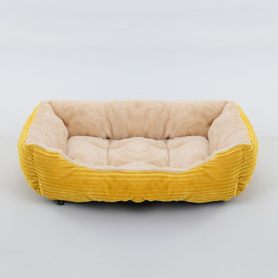 Basket - Design, style and comfort and style for your companion