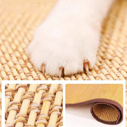 Cat scratching post - For scratch-free sofas