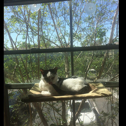 High hammock for cats