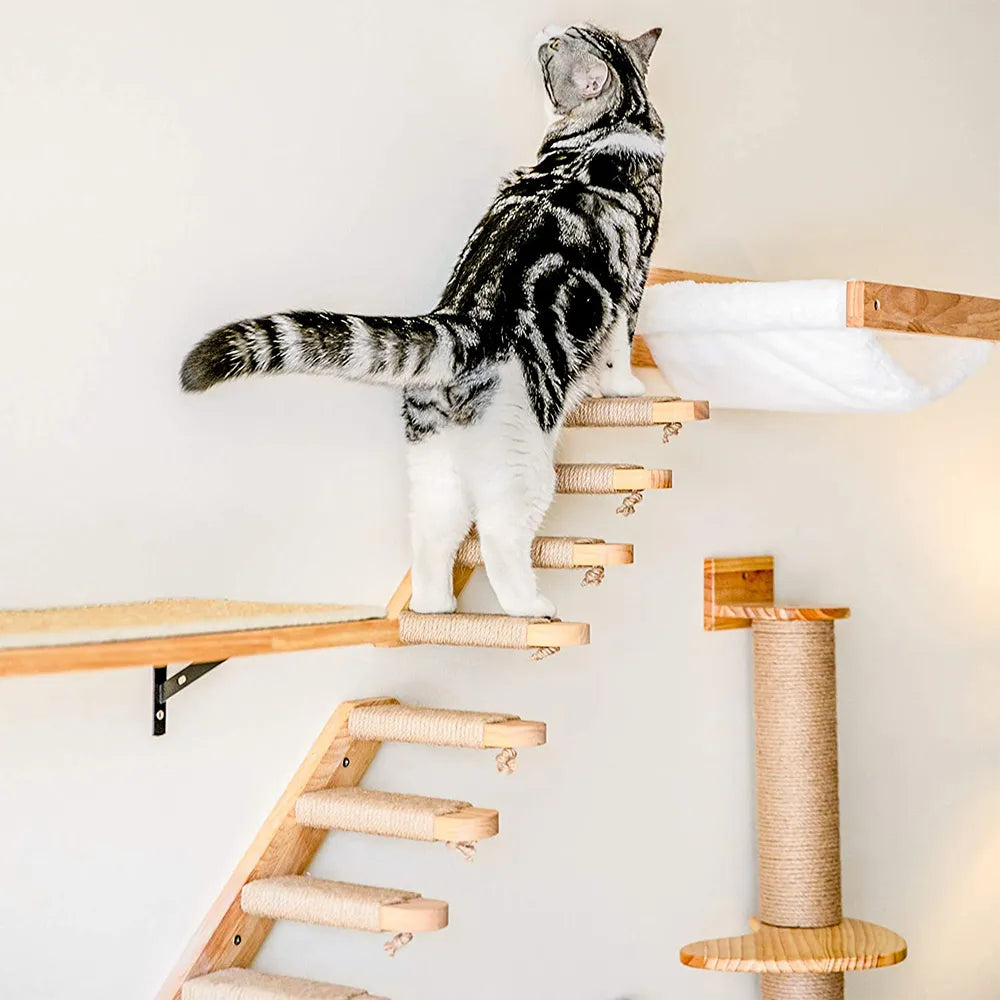 Climbing set for cats