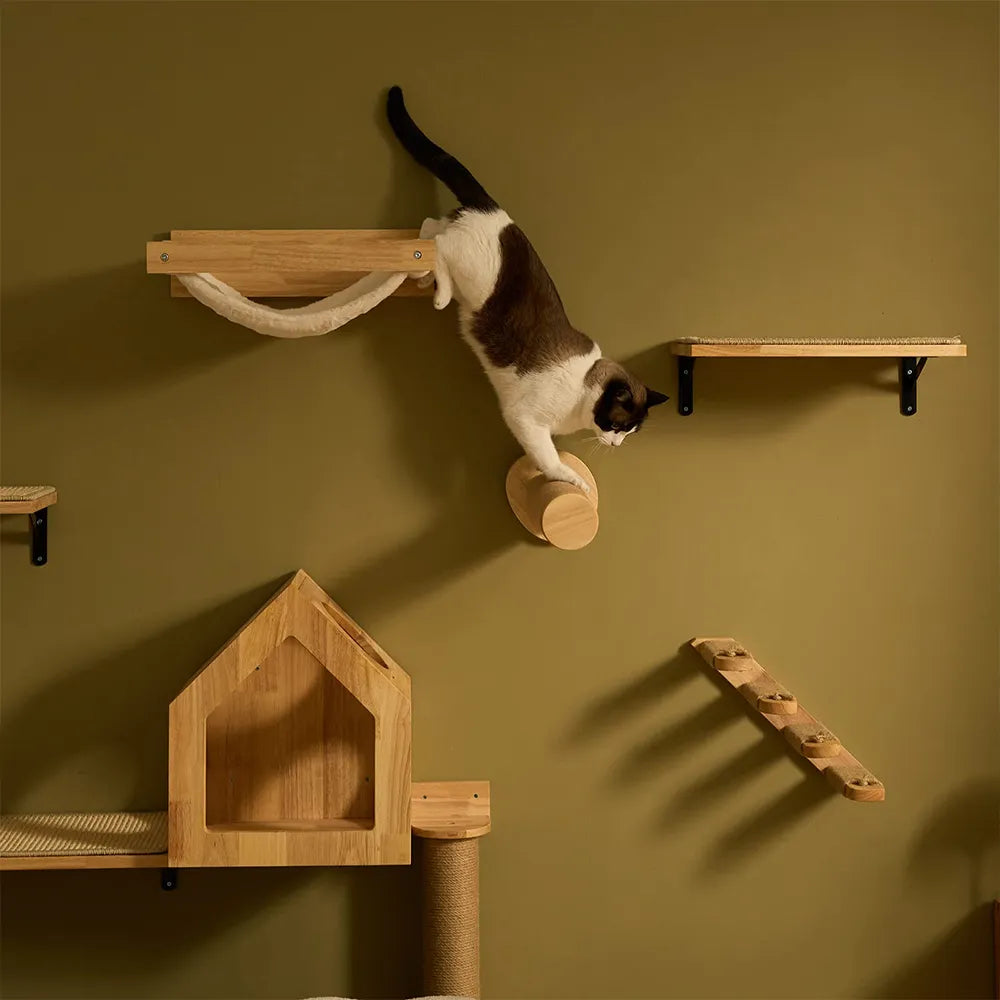 Climbing set for cats