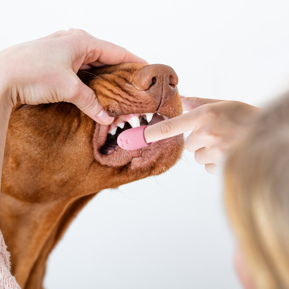 Rubber brush - For clean teeth