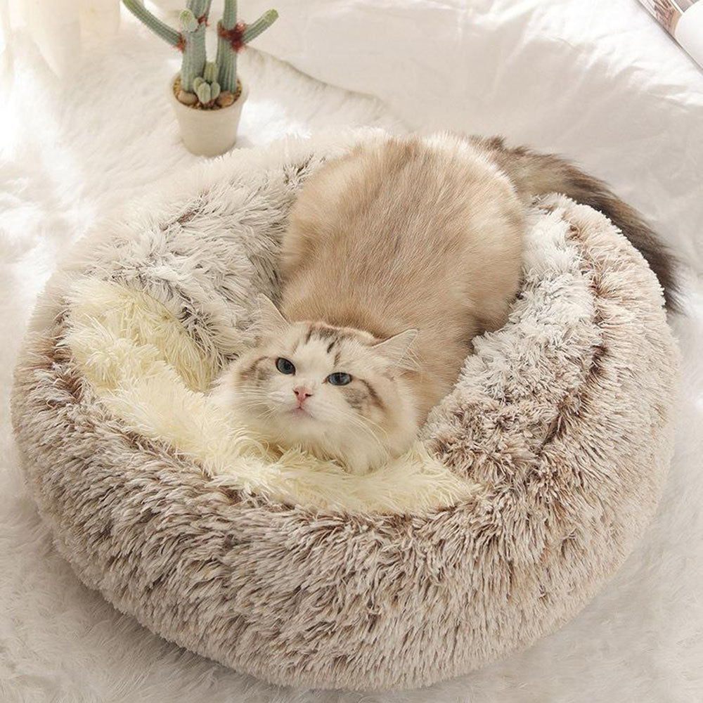 Cushion - A comfortable cloud