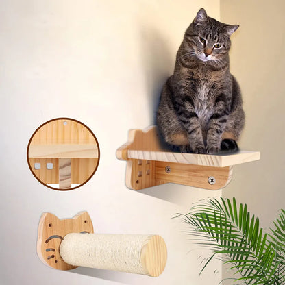 Ensemble d'escalade pour chats