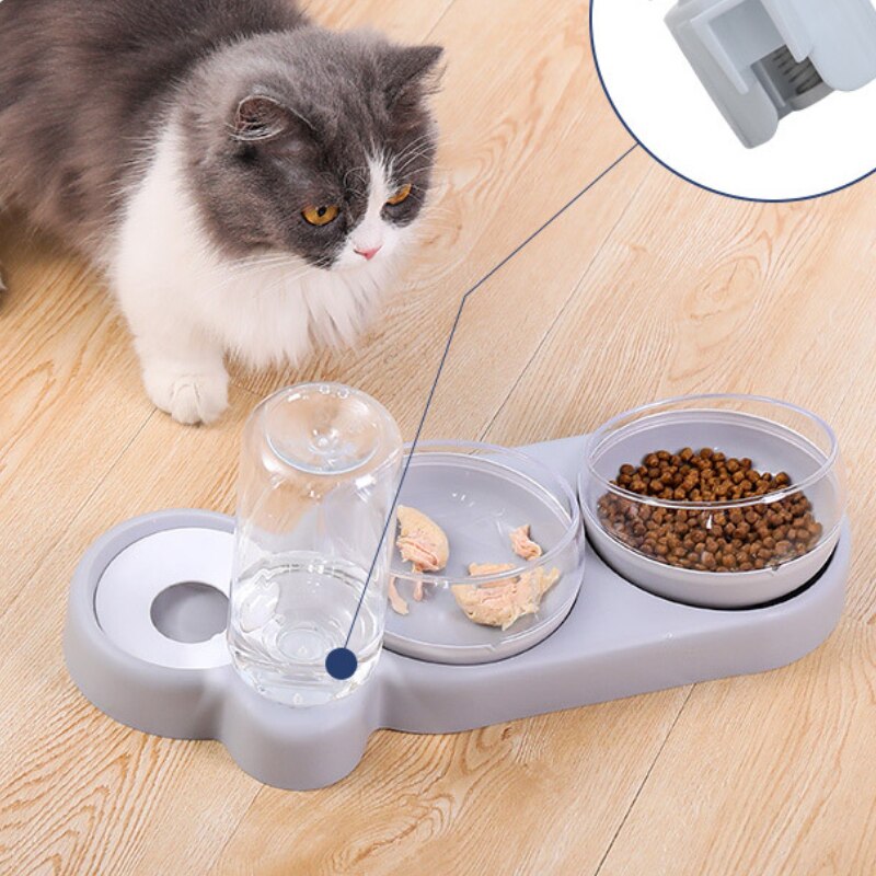 Bowl with water dispenser