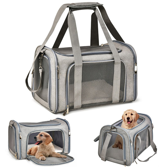 Carry bag - Carry your companion with you